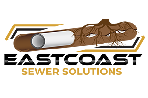https://trenchlessmarketing.com/wp-content/uploads/2023/03/Eastcoastsewersolutions-logo.png
